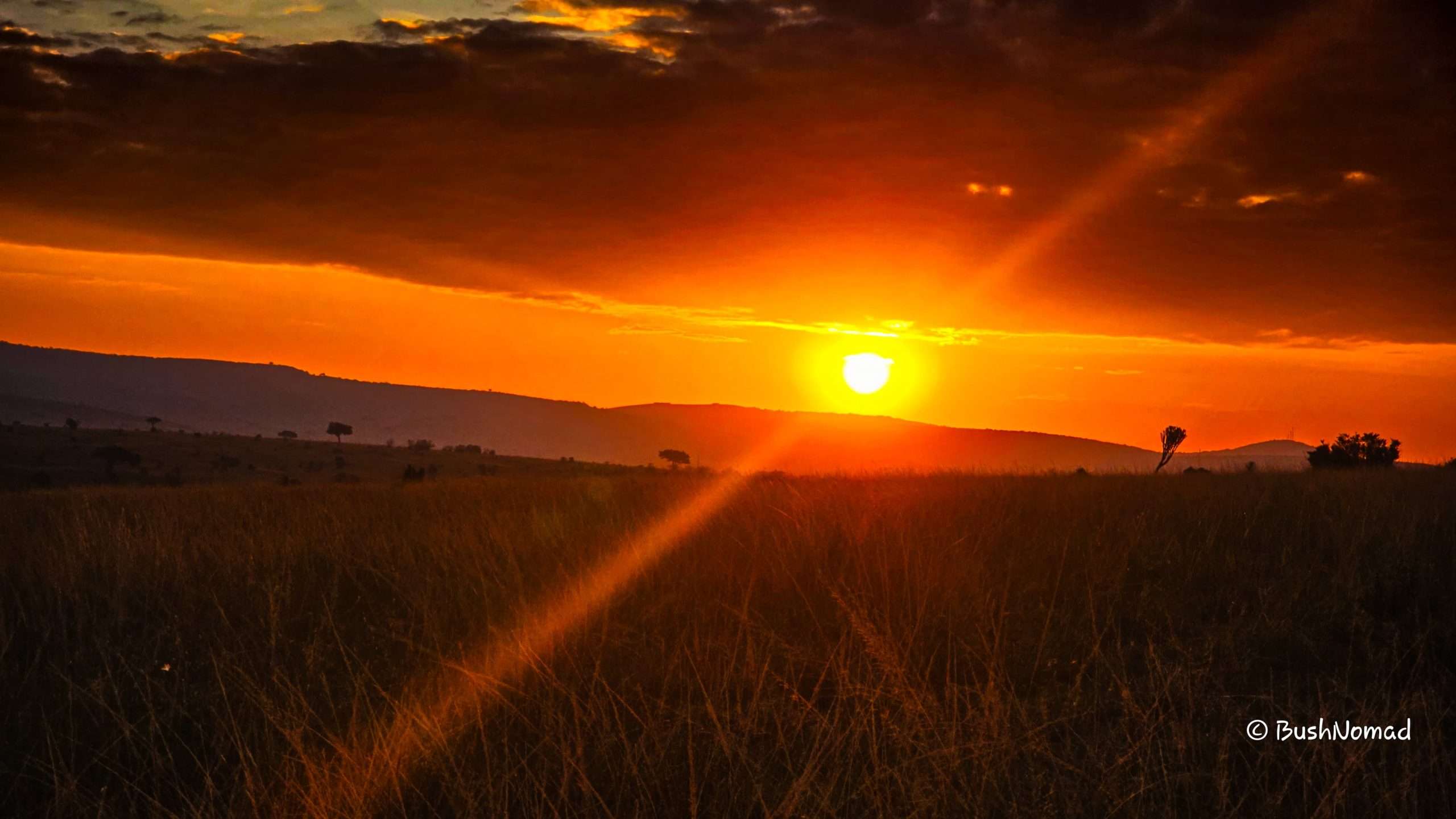 Samburu National Reserve: Kenya’s Underrated Safari Destination